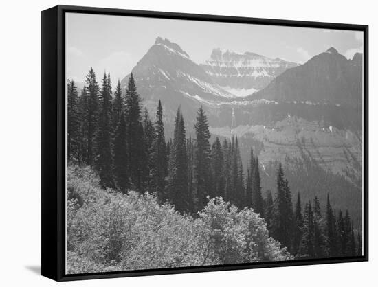 Trees And Bushes In Foreground Mountains In Bkgd "In Glacier National Park" Montana. 1933-1942-Ansel Adams-Framed Stretched Canvas