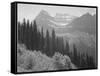 Trees And Bushes In Foreground Mountains In Bkgd "In Glacier National Park" Montana. 1933-1942-Ansel Adams-Framed Stretched Canvas
