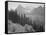 Trees And Bushes In Foreground Mountains In Bkgd "In Glacier National Park" Montana. 1933-1942-Ansel Adams-Framed Stretched Canvas