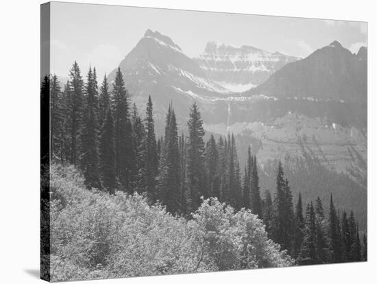 Trees And Bushes In Foreground Mountains In Bkgd "In Glacier National Park" Montana. 1933-1942-Ansel Adams-Stretched Canvas