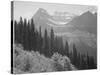 Trees And Bushes In Foreground Mountains In Bkgd "In Glacier National Park" Montana. 1933-1942-Ansel Adams-Stretched Canvas