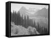 Trees And Bushes In Foreground Mountains In Bkgd "In Glacier National Park" Montana. 1933-1942-Ansel Adams-Framed Stretched Canvas