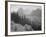 Trees And Bushes In Foreground Mountains In Bkgd "In Glacier National Park" Montana. 1933-1942-Ansel Adams-Framed Art Print