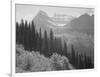 Trees And Bushes In Foreground Mountains In Bkgd "In Glacier National Park" Montana. 1933-1942-Ansel Adams-Framed Art Print