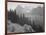 Trees And Bushes In Foreground Mountains In Bkgd "In Glacier National Park" Montana. 1933-1942-Ansel Adams-Framed Art Print