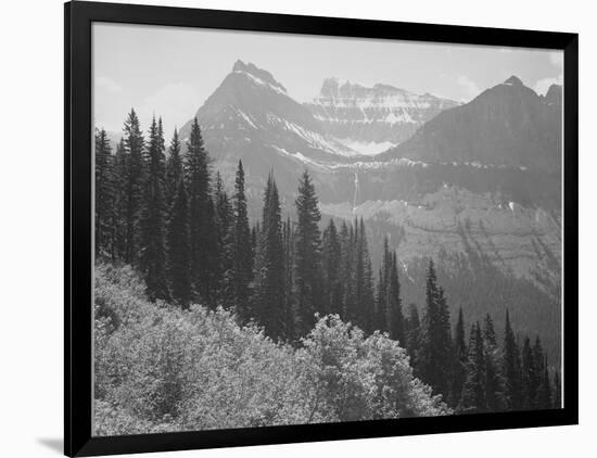 Trees And Bushes In Foreground Mountains In Bkgd "In Glacier National Park" Montana. 1933-1942-Ansel Adams-Framed Art Print