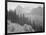 Trees And Bushes In Foreground Mountains In Bkgd "In Glacier National Park" Montana. 1933-1942-Ansel Adams-Framed Art Print