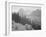 Trees And Bushes In Foreground Mountains In Bkgd "In Glacier National Park" Montana. 1933-1942-Ansel Adams-Framed Art Print