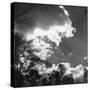 Trees and Clouds-null-Stretched Canvas