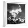 Trees and Clouds-null-Framed Photographic Print