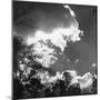 Trees and Clouds-null-Mounted Photographic Print