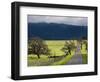 Trees and Country Road, Santa Barbara Wine Country, Santa Ynez, Southern California, Usa-Walter Bibikow-Framed Photographic Print