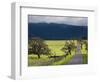 Trees and Country Road, Santa Barbara Wine Country, Santa Ynez, Southern California, Usa-Walter Bibikow-Framed Photographic Print