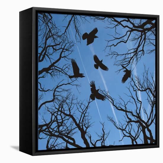 Trees and Crows Flying in the Sky-Gepard-Framed Stretched Canvas