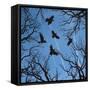 Trees and Crows Flying in the Sky-Gepard-Framed Stretched Canvas