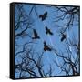 Trees and Crows Flying in the Sky-Gepard-Framed Stretched Canvas