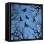 Trees and Crows Flying in the Sky-Gepard-Framed Stretched Canvas