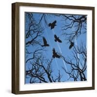 Trees and Crows Flying in the Sky-Gepard-Framed Art Print