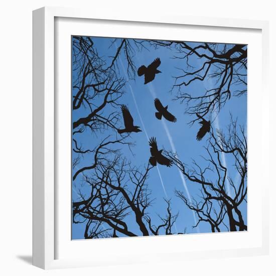 Trees and Crows Flying in the Sky-Gepard-Framed Art Print