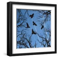 Trees and Crows Flying in the Sky-Gepard-Framed Art Print