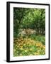 Trees and Daylily Along Little Pigeon River, Great Smoky Mountains National Park, Tennessee, USA-Adam Jones-Framed Premium Photographic Print