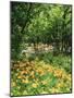 Trees and Daylily Along Little Pigeon River, Great Smoky Mountains National Park, Tennessee, USA-Adam Jones-Mounted Photographic Print