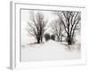 Trees and Drifted Road-Ron Chapple-Framed Photographic Print