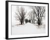 Trees and Drifted Road-Ron Chapple-Framed Photographic Print