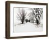 Trees and Drifted Road-Ron Chapple-Framed Photographic Print