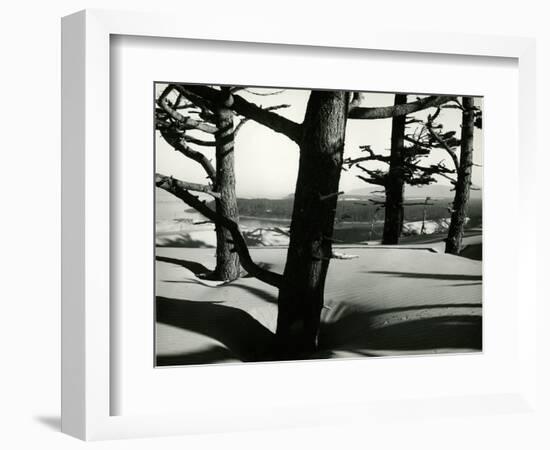 Trees and Dune, Oregon, 1962-Brett Weston-Framed Photographic Print