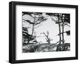 Trees and Dune, Oregon, 1962-Brett Weston-Framed Photographic Print