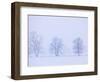 Trees and Fence in Field-Jim Craigmyle-Framed Photographic Print