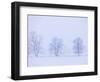 Trees and Fence in Field-Jim Craigmyle-Framed Photographic Print