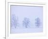 Trees and Fence in Field-Jim Craigmyle-Framed Photographic Print