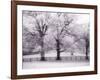 Trees and Fence in Snowy Field-Robert Llewellyn-Framed Photographic Print