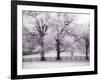 Trees and Fence in Snowy Field-Robert Llewellyn-Framed Photographic Print
