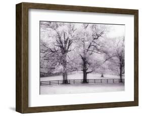 Trees and Fence in Snowy Field-Robert Llewellyn-Framed Photographic Print