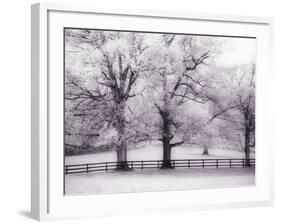 Trees and Fence in Snowy Field-Robert Llewellyn-Framed Photographic Print