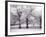 Trees and Fence in Snowy Field-Robert Llewellyn-Framed Photographic Print