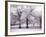 Trees and Fence in Snowy Field-Robert Llewellyn-Framed Photographic Print