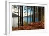 Trees and Fern during Autumn in Front of Loch Lomond, Scotland, Uk.-pink candy-Framed Photographic Print