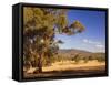 Trees and Fields, the Grampians National Park, Victoria, Australia, Pacific-Schlenker Jochen-Framed Stretched Canvas