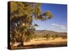 Trees and Fields, the Grampians National Park, Victoria, Australia, Pacific-Schlenker Jochen-Stretched Canvas