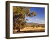 Trees and Fields, the Grampians National Park, Victoria, Australia, Pacific-Schlenker Jochen-Framed Photographic Print