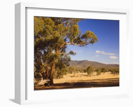 Trees and Fields, the Grampians National Park, Victoria, Australia, Pacific-Schlenker Jochen-Framed Photographic Print
