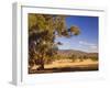 Trees and Fields, the Grampians National Park, Victoria, Australia, Pacific-Schlenker Jochen-Framed Photographic Print