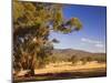 Trees and Fields, the Grampians National Park, Victoria, Australia, Pacific-Schlenker Jochen-Mounted Photographic Print