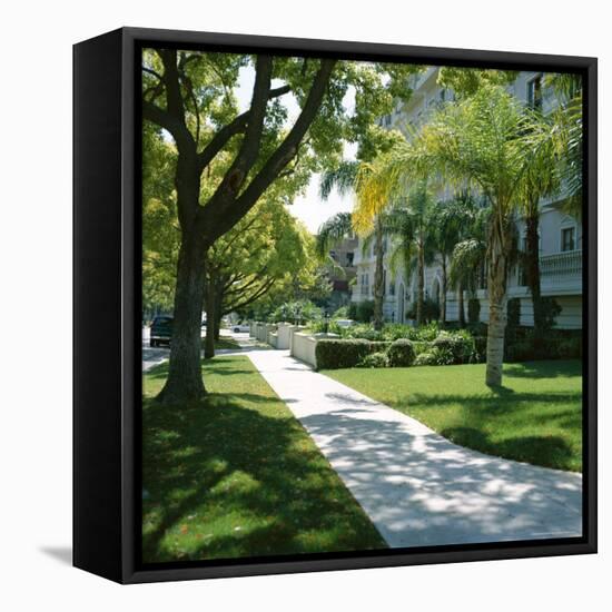 Trees and Grass Along Sidewalk, Beverly Hills, Los Angeles, California, USA-David Lomax-Framed Stretched Canvas