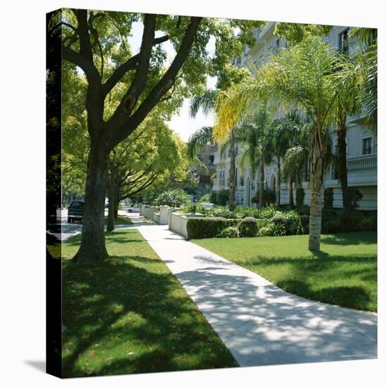 Trees and Grass Along Sidewalk, Beverly Hills, Los Angeles, California, USA-David Lomax-Stretched Canvas