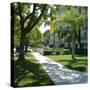 Trees and Grass Along Sidewalk, Beverly Hills, Los Angeles, California, USA-David Lomax-Stretched Canvas